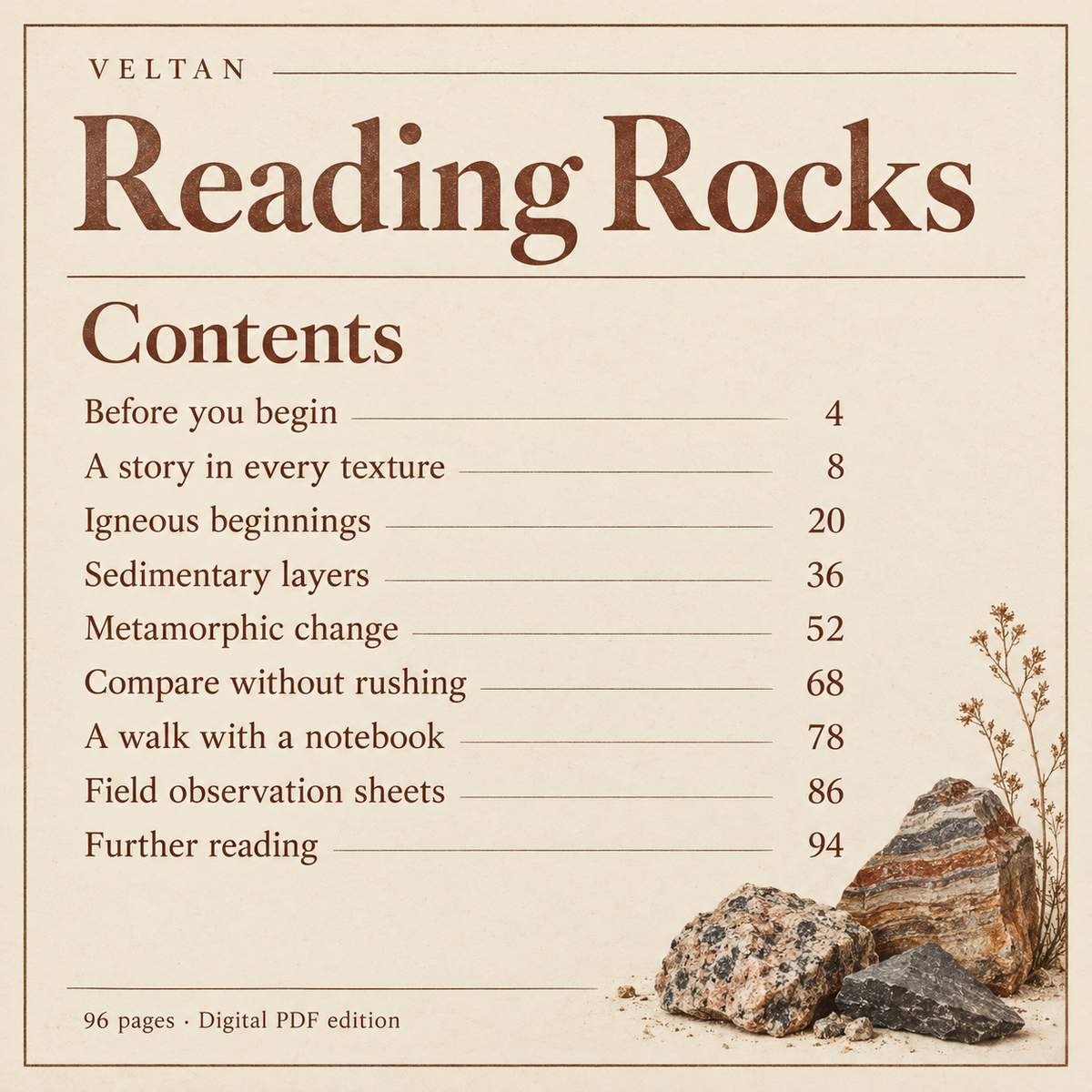 Contents page of Reading Rocks, listing every chapter and its starting page.
