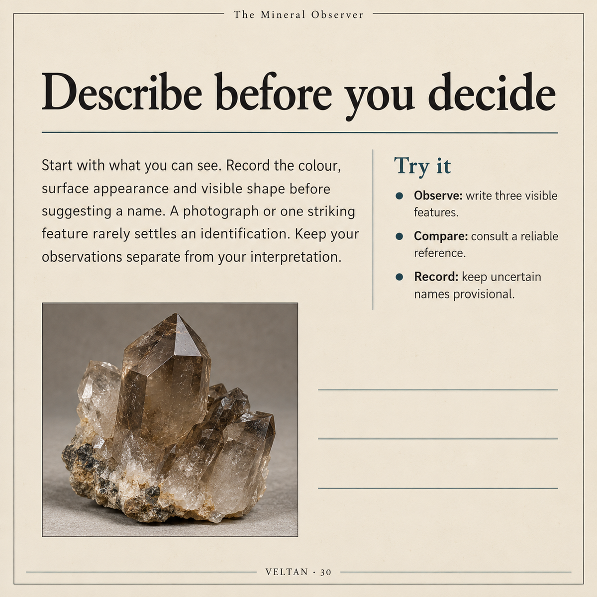 The Mineral Observer