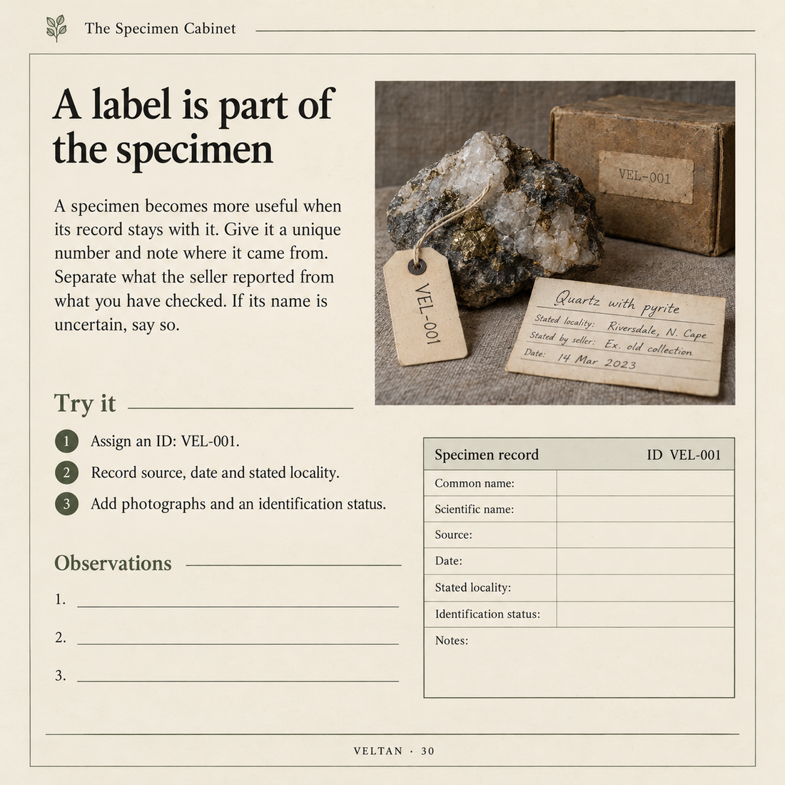 Sample interior page from The Specimen Cabinet, titled A label is part of the specimen.
